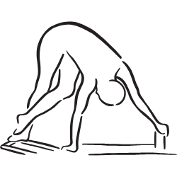 pilates-reformer-illustration-01